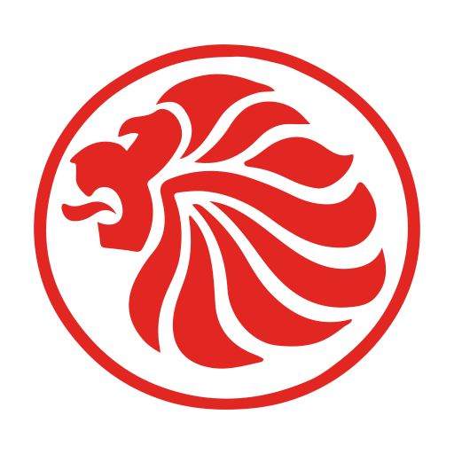 Lyon Savoie Airlines